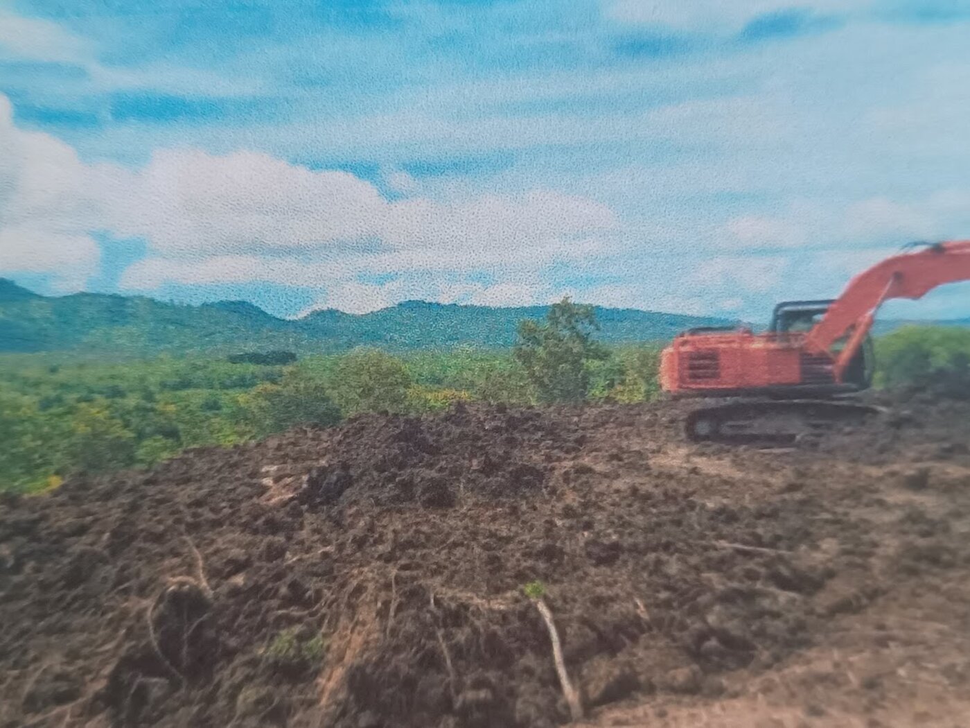 Foto
